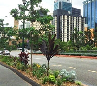 Water Smart Street Trees – Planning and Design @ Alliance Hotel